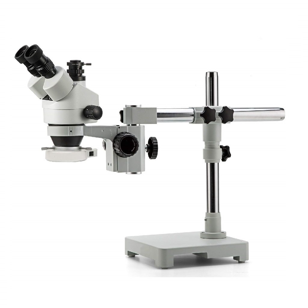 Product View